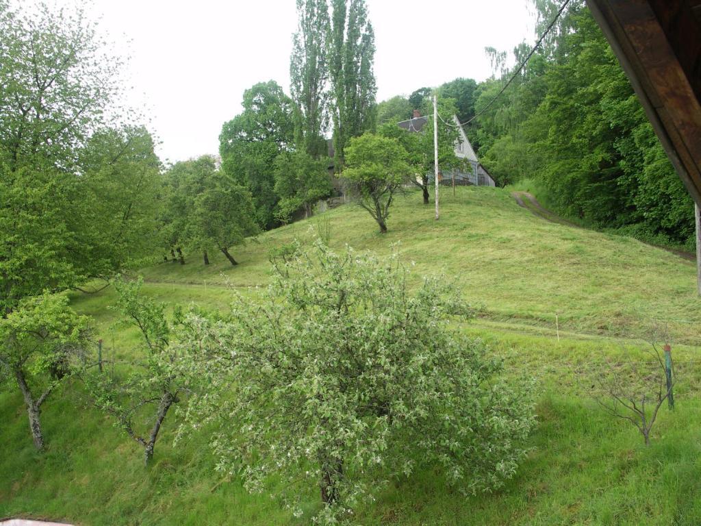 Gite Henry Orbey Exterior foto